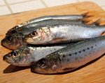 sardines_nice.jpg