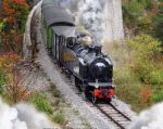 train_des_pignes_vapeur.jpg