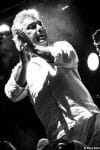gipsy_kings_c_flora_doin_2_.jpg