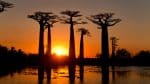 madagascar-2.jpg