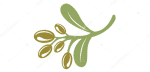 image-526-_1_.png