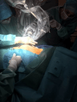 image_173_.png