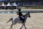 hippodrome4.jpg