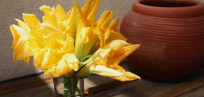 Le Comité « cuisine niçoise patrimoine de l’humanité »  vous offre la recette du mois