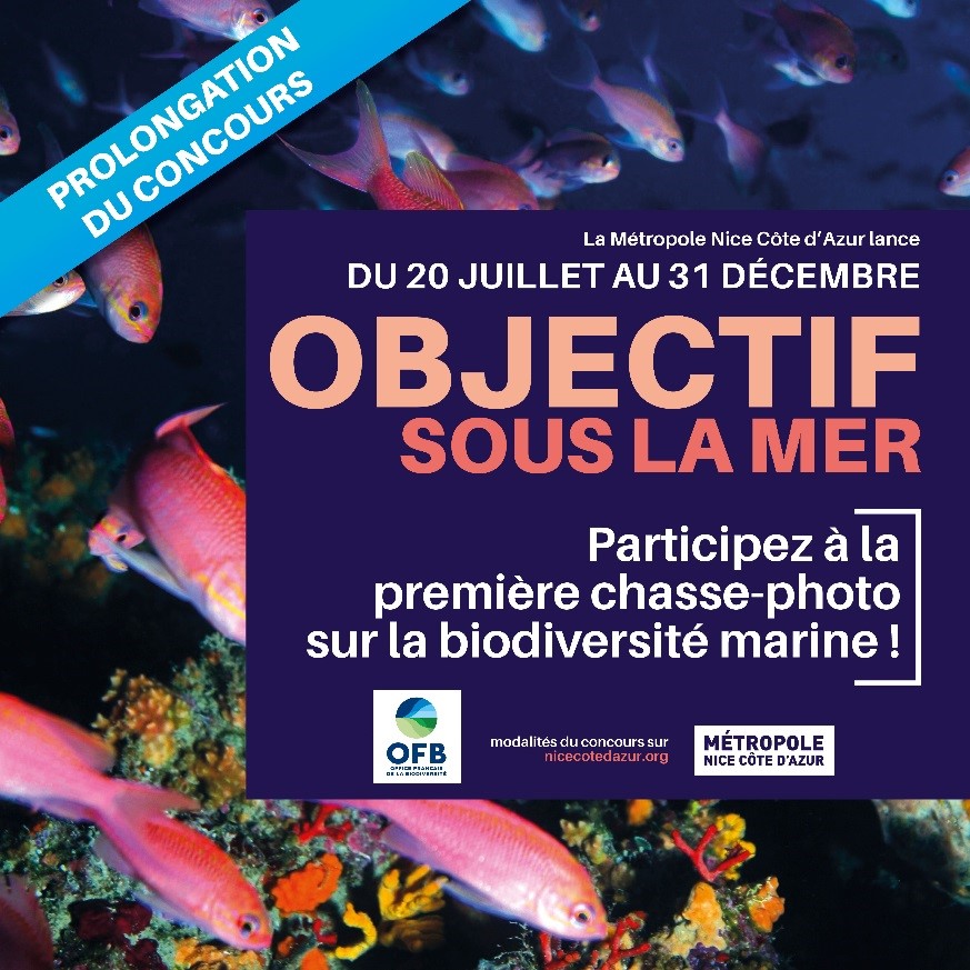 objectif_sous_la_mer.jpg
