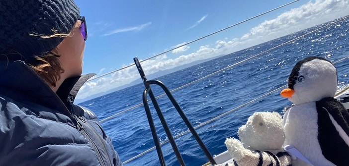 Vendée Globe : libérée, délivrée !