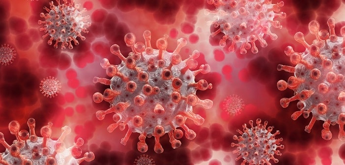 Coronavirus : 4 347 nouveaux cas et 456 décès en 24h