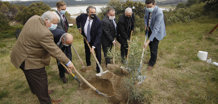 Journée de la Terre : « un million d’arbres » en région Sud