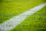 grass-2616911_960_720.jpg