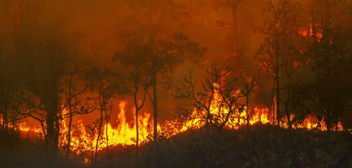 L’incendie dans le  Var fixé mais pas encore arrêté