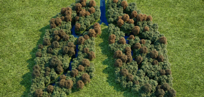 La métropole azuréenne lutte contre la pollution atmosphérique
