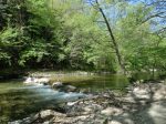 parc_departemental_des_rives_du_loup.jpg