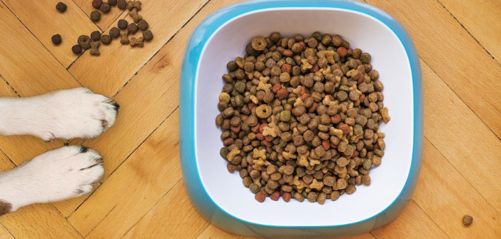 L’association « Esprit Dog Solidarité » a distribué une tonne et demi de croquettes ce week-end