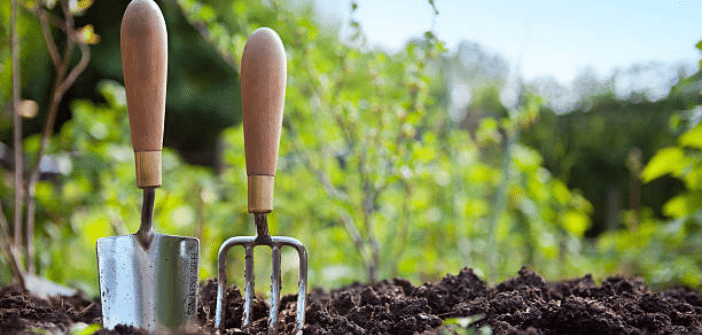La Métropole NCA  et la Ville de Nice proposent des terrains pour l’installation d’agriculteurs et la création de nouveaux jardins potagers