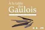 csm_dpt06-agenda_mmt-table-gaulois_2f123553fd.jpg