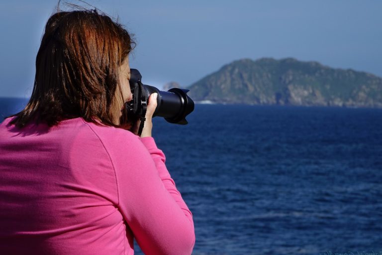 3e édition du Festival de la Photographie de la Nature à la Maison de l’environnement