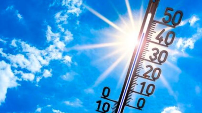 Quelques conseils pour affronter la canicule