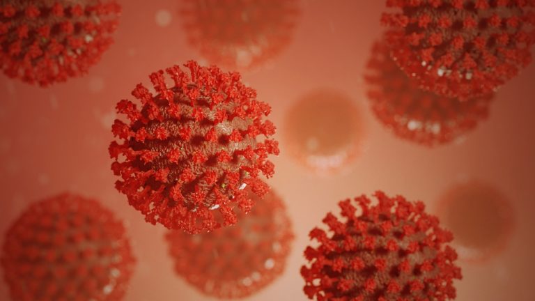Covid-19 : forte hausse des contaminations due à deux nouveaux variants