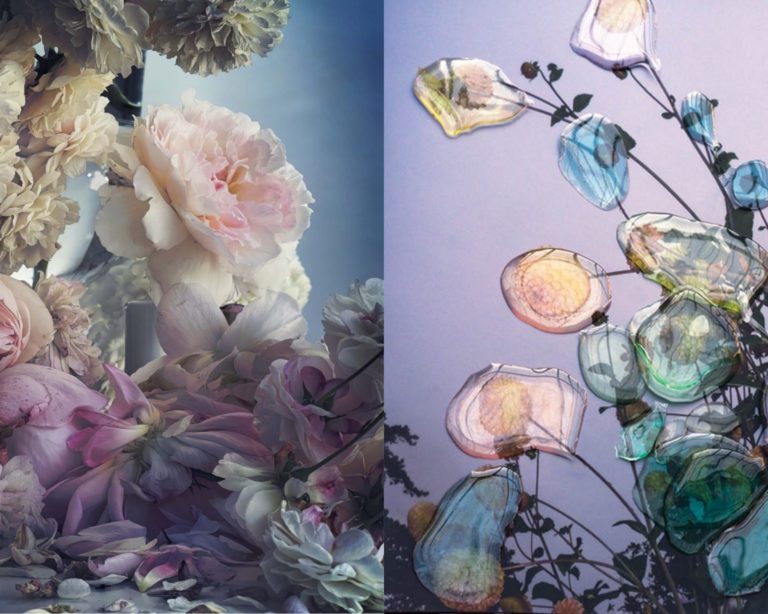 Nick Knight et Catherine Larré au Musée de la photographie