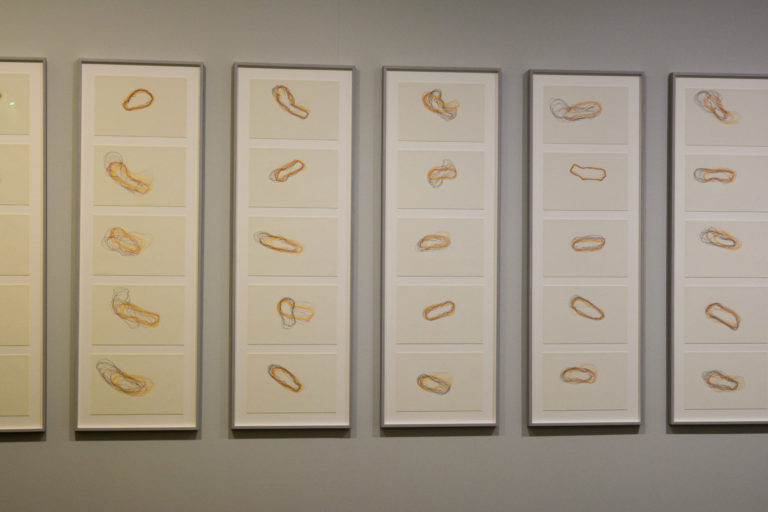 « Modèles marins. Dessiner la régénération », l’exposition d’Irene Kopelman à découvrir au MAMAC