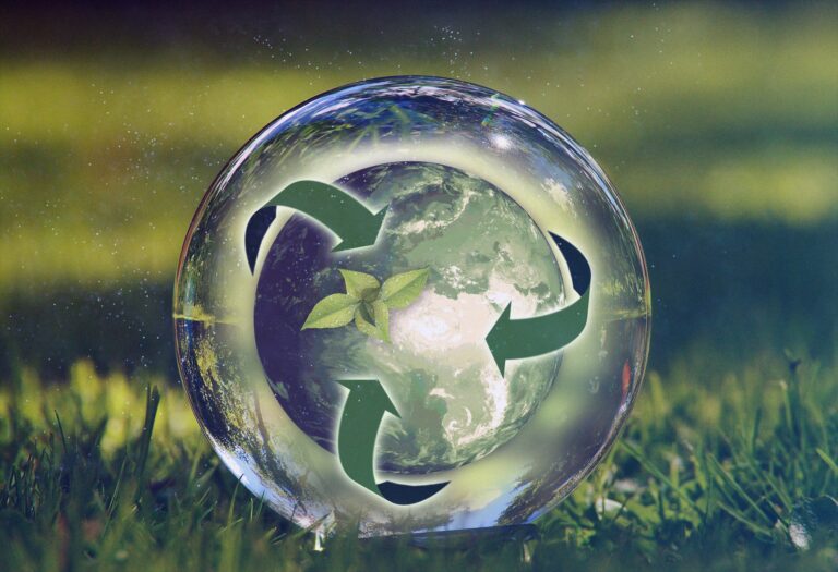 2ème édition de l’Appel à Projets pour la transition écologique