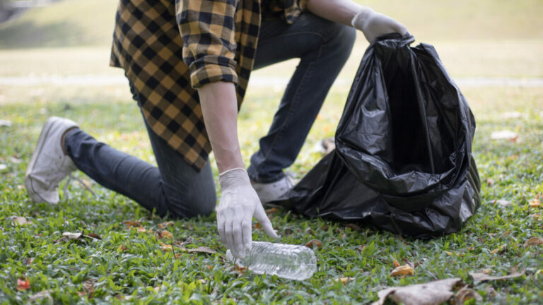 Nettoyons le Sud : 50 tonnes de déchets ramassés