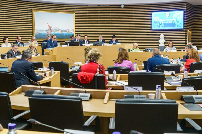 Conseil municipal : débats budgétaires et sécurité