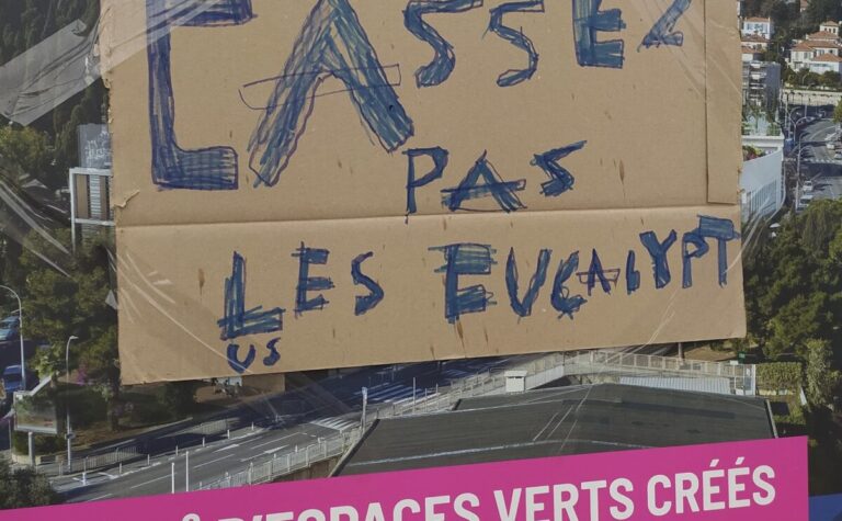 Pourquoi la destruction du stade des Eucalyptus pose problème ?