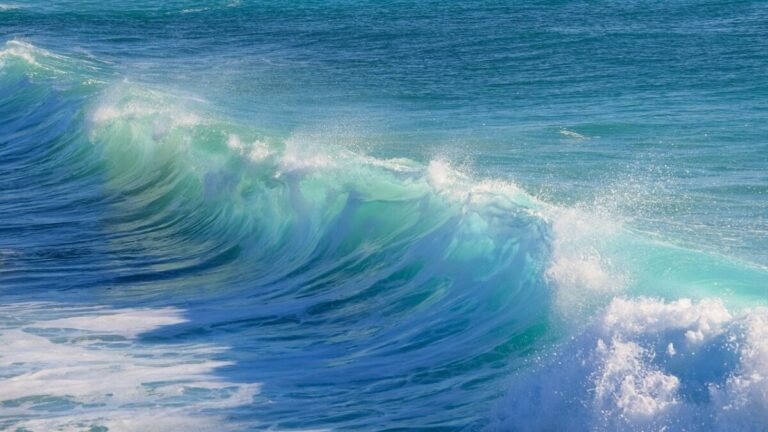 une vague.