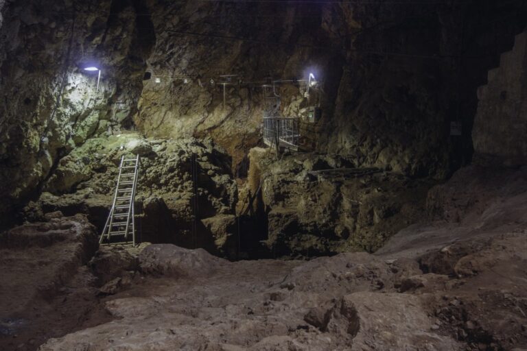 La grotte du Lazaret accueille « Hyperphantasia » jusqu’au 31 janvier prochain