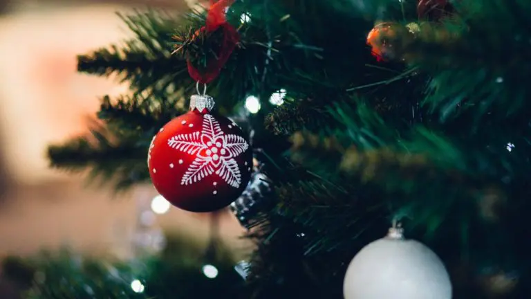Que faire de son sapin de Noël après les fêtes ?