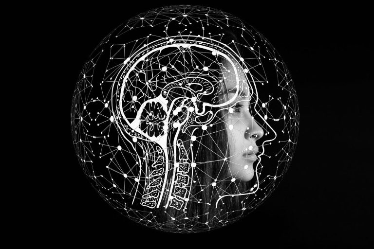 Neuroplanète 2024 : au carrefour des Sens et de la Science