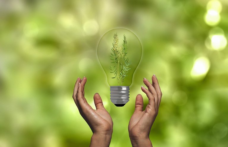3e édition appel à projets « Antoine Risso : Cap sur la transition écologique ! »