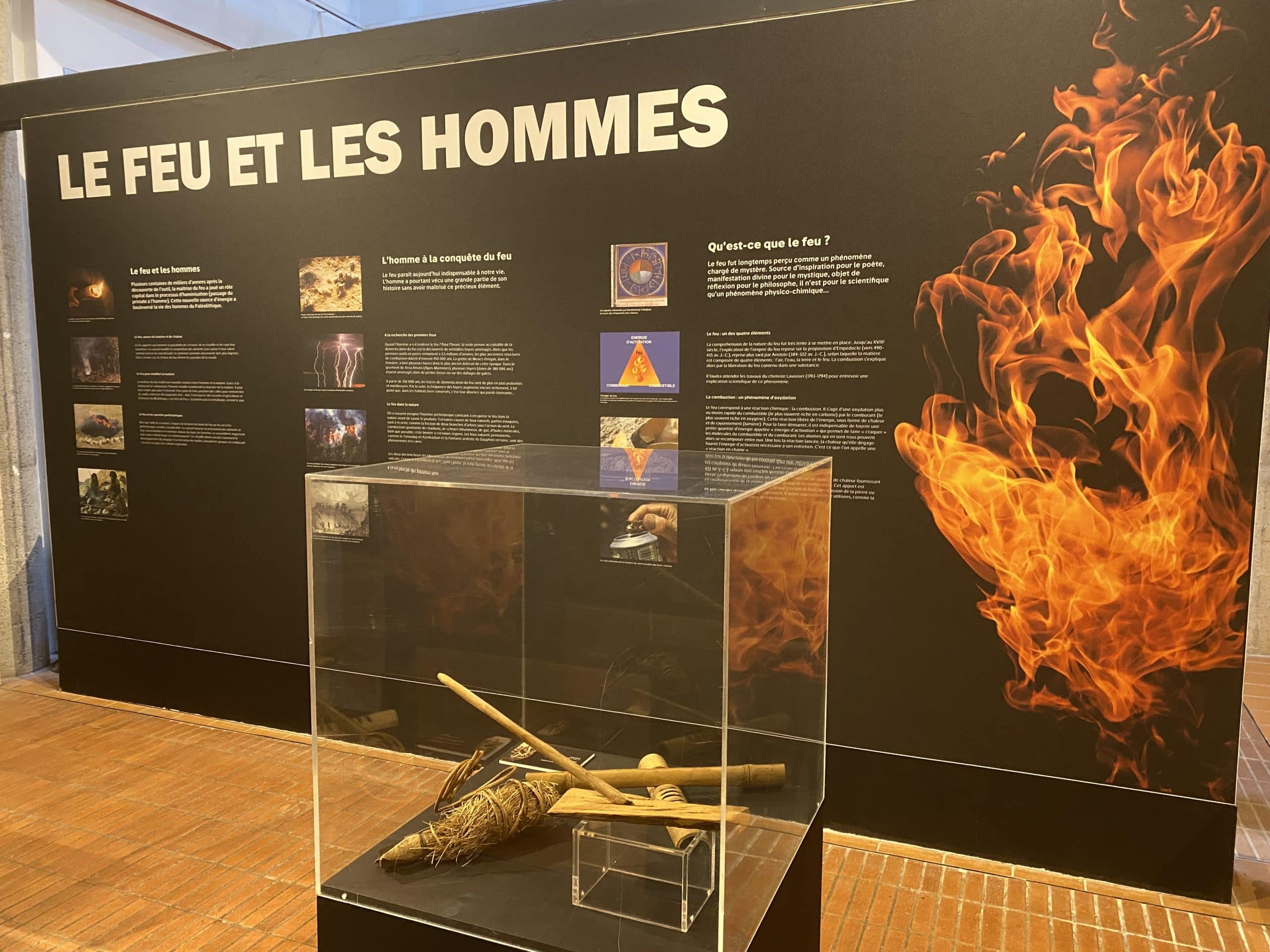 Musée archéologie