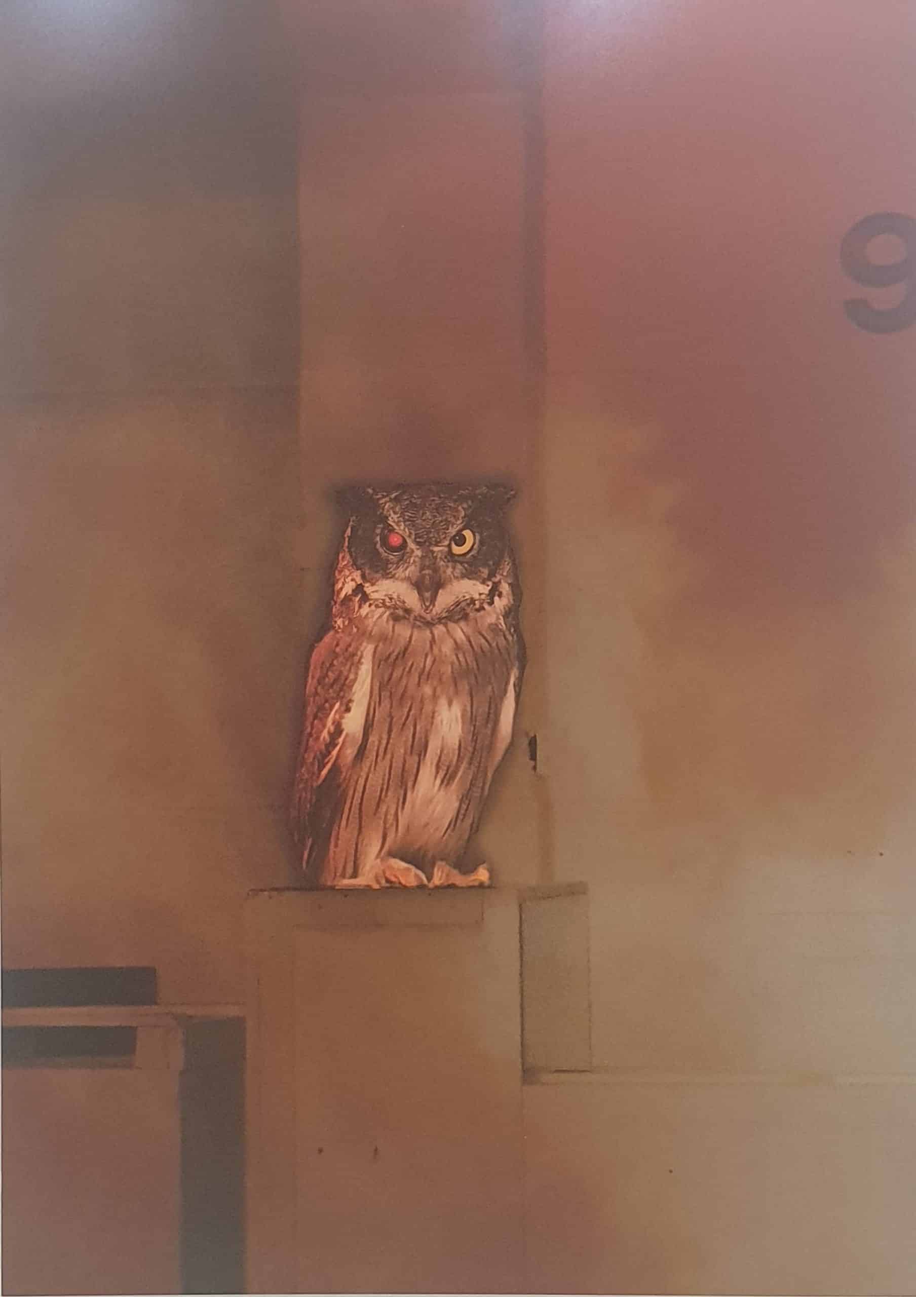 Voyage au-delà du réel : l'exposition "AUTRES MONDES"