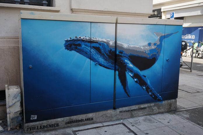 Image d'un graphe de baleine réalisé par artmor 1