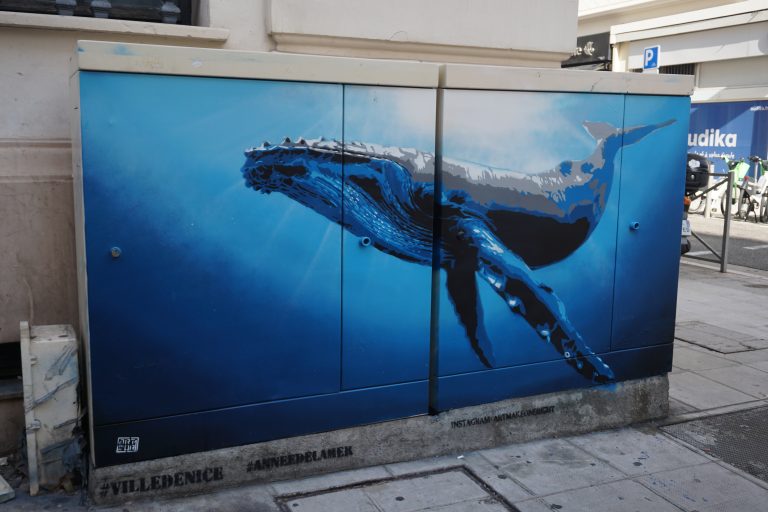 Image d'un graphe de baleine réalisé par artmor 1