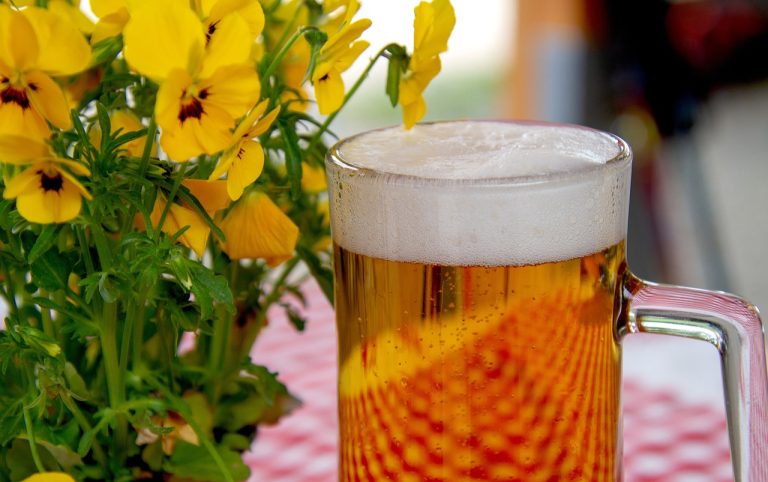 Festival de la Bière Artisanale : trois jours de fête au port de Nice