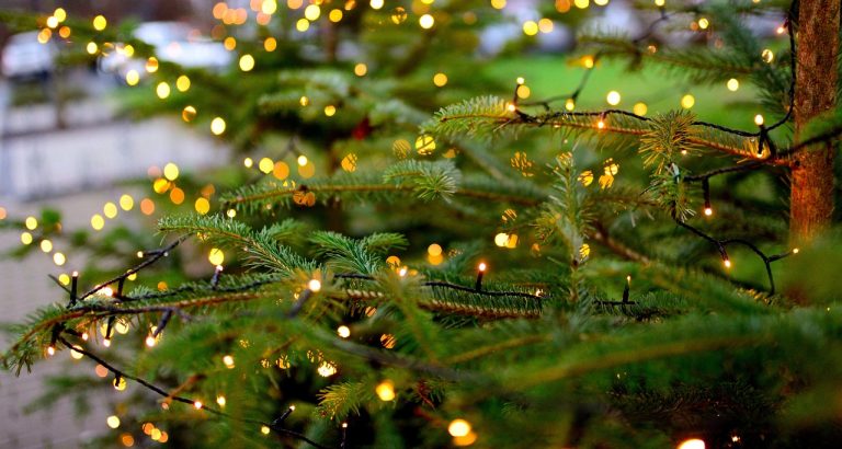Où déposer son sapin de Noël à Nice ?