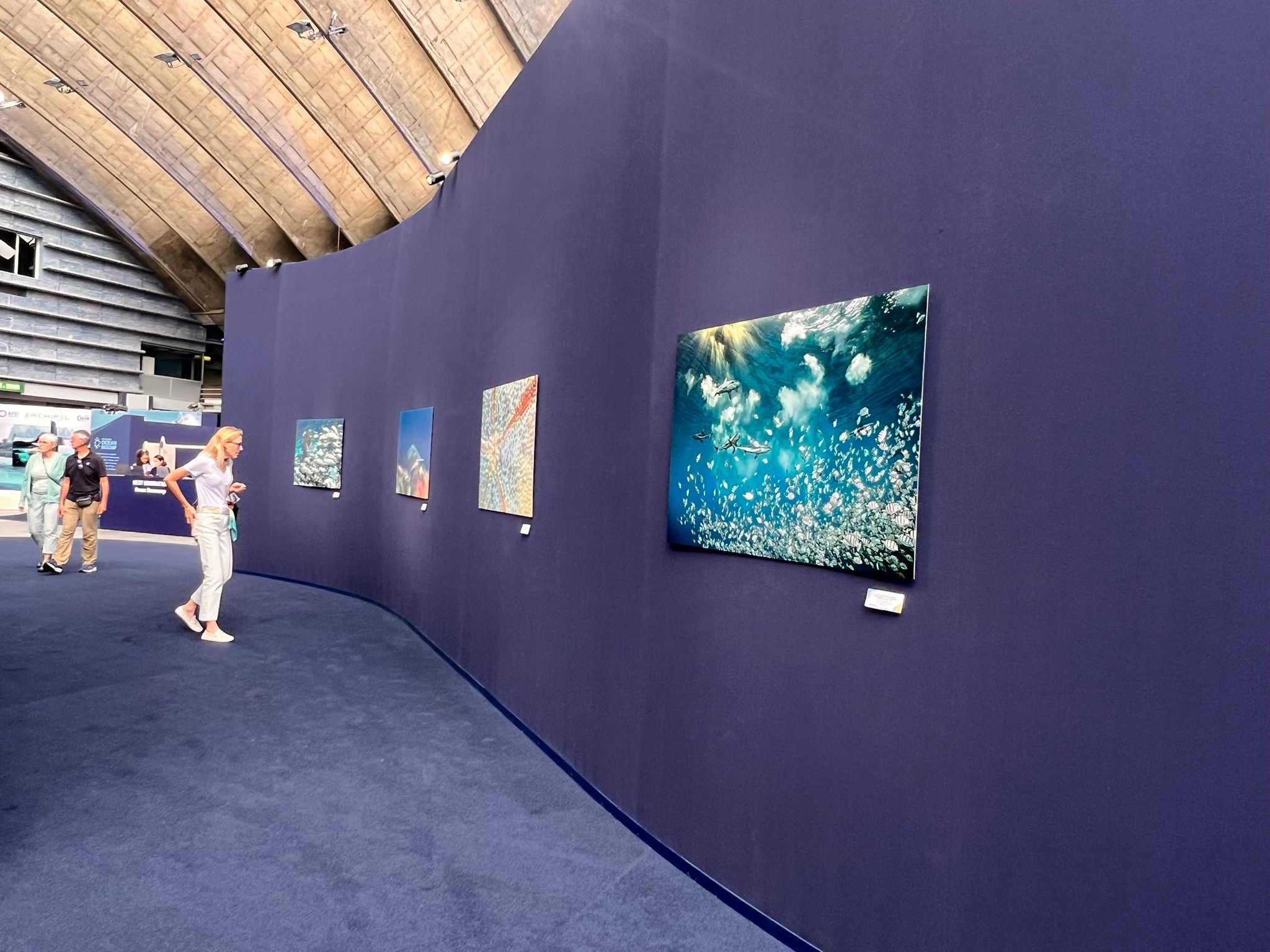 L’exposition de Laurent Ballesta à l'UNOC 2025 sur un fond bleu qui rappel l'océan.