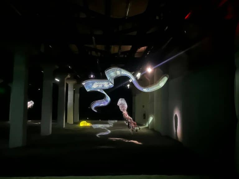 « La zone de minuit » : immersion dans les abysses avec Ugo Schiavi