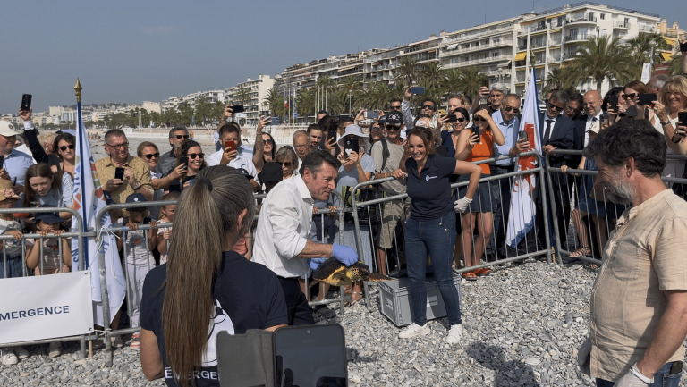 Deux tortues remises à l’eau à Nice