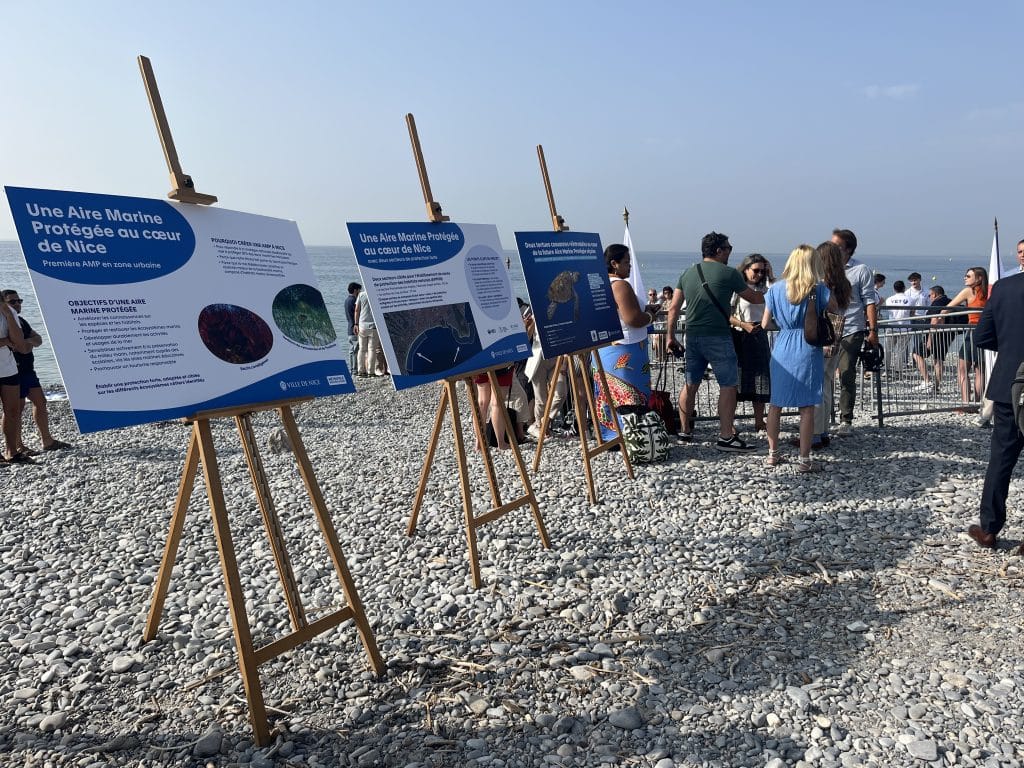 Posters in favor of marine protection