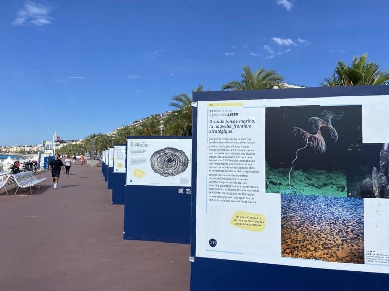 Le CNRS a lancé l’exposition « L’océan si fort et si fragile » sur la Promenade des Anglais