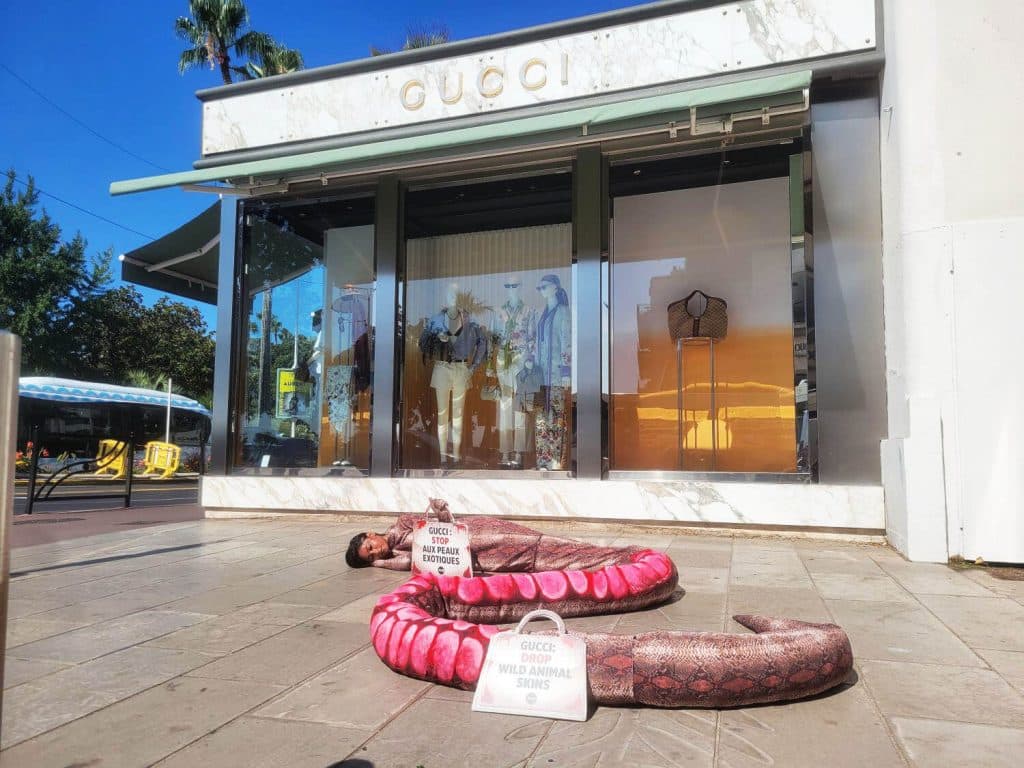 Une dame dans un costume de serpent rose/violet devant le magasin de luxe Gucci à Cannes tenant un sac à main avec les inscriptions :"Gucci stop aux peaux exotiques."