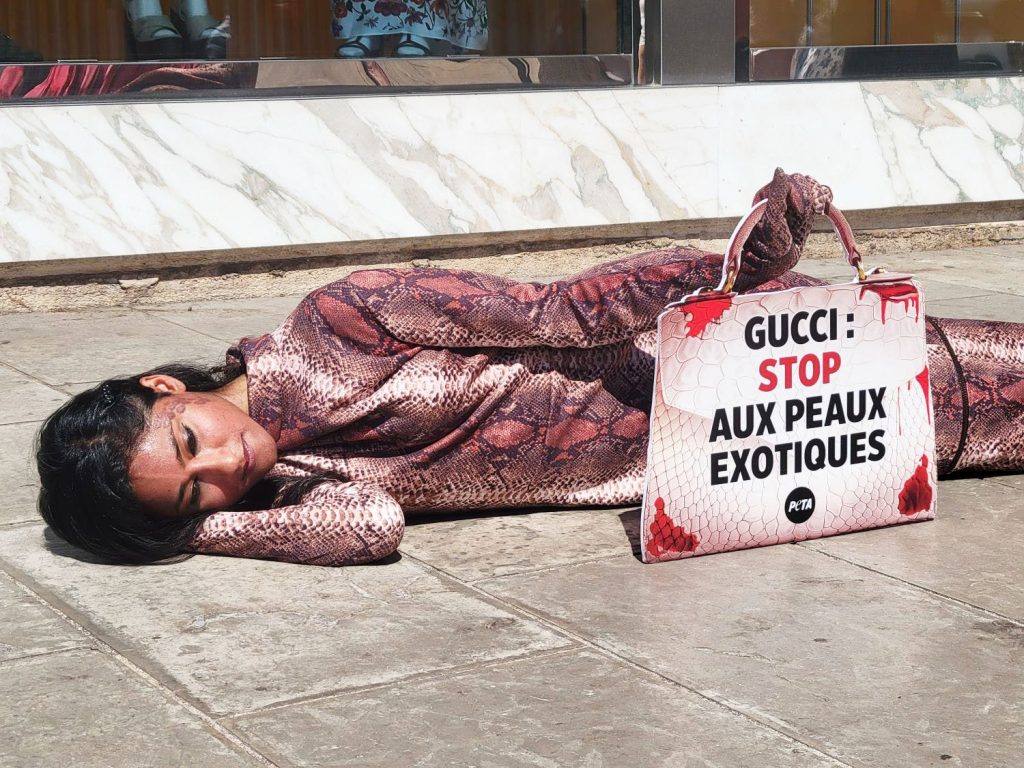 Une dame dans un costume de serpent rose/violet devant le magasin de luxe Gucci à Cannes tenant un sac à main avec les inscriptions :"Gucci stop aux peaux exotiques."