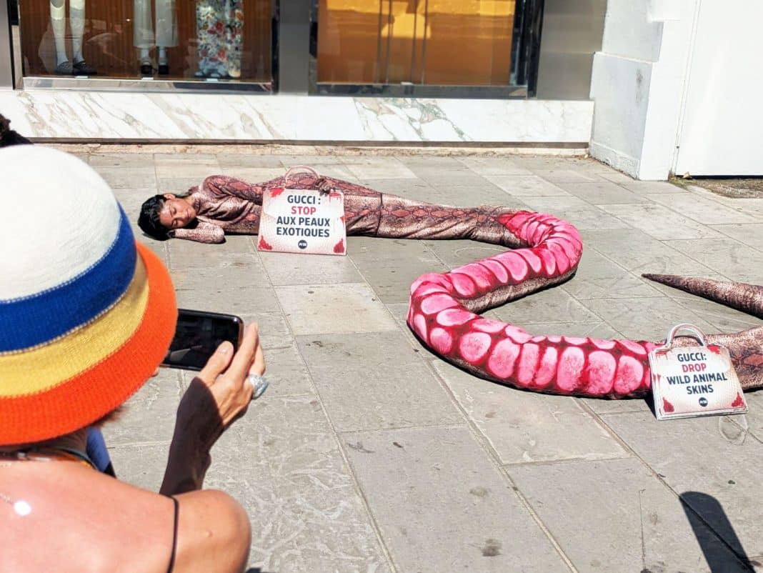Une dame dans un costume de serpent rose/violet devant le magasin de luxe Gucci à Cannes tenant un sac à main avec les inscriptions :