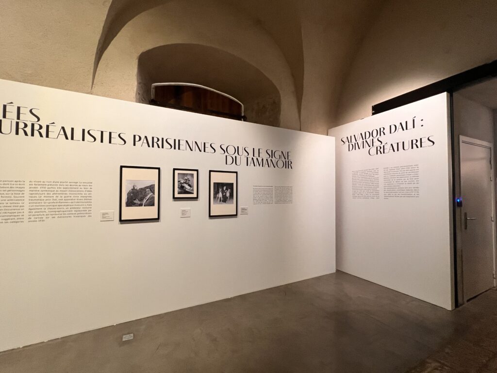 Salvador Dalí s’invite à Nice : un bestiaire fantastique au cœur du bagne de Lympia