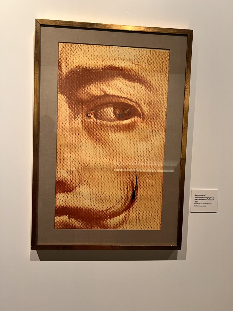 Salvador Dalí s’invite à Nice : un bestiaire fantastique au cœur du bagne de Lympia