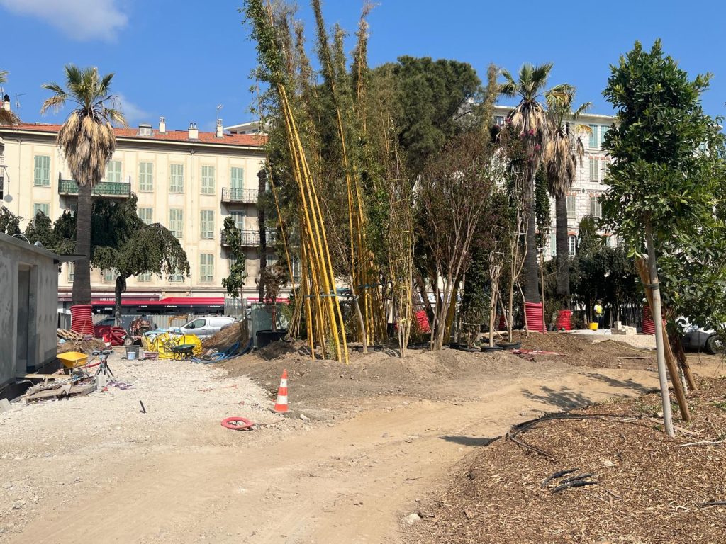 Bamboo is one of the plant species among the 250 at the promenade. Photo: Théo Cireddu